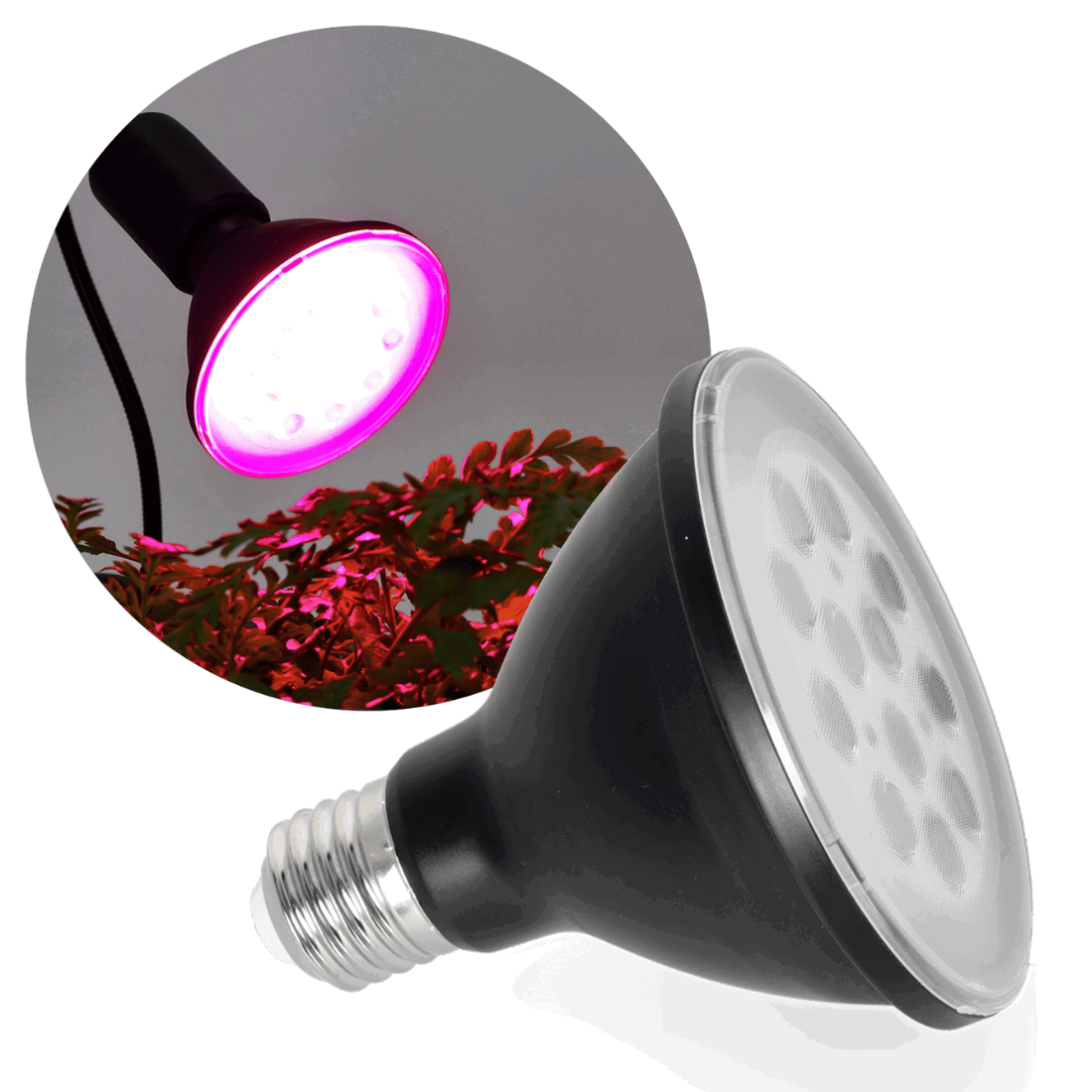 LED Grolys Pære - Sort - E27 - 9W - 1200 - 300lm