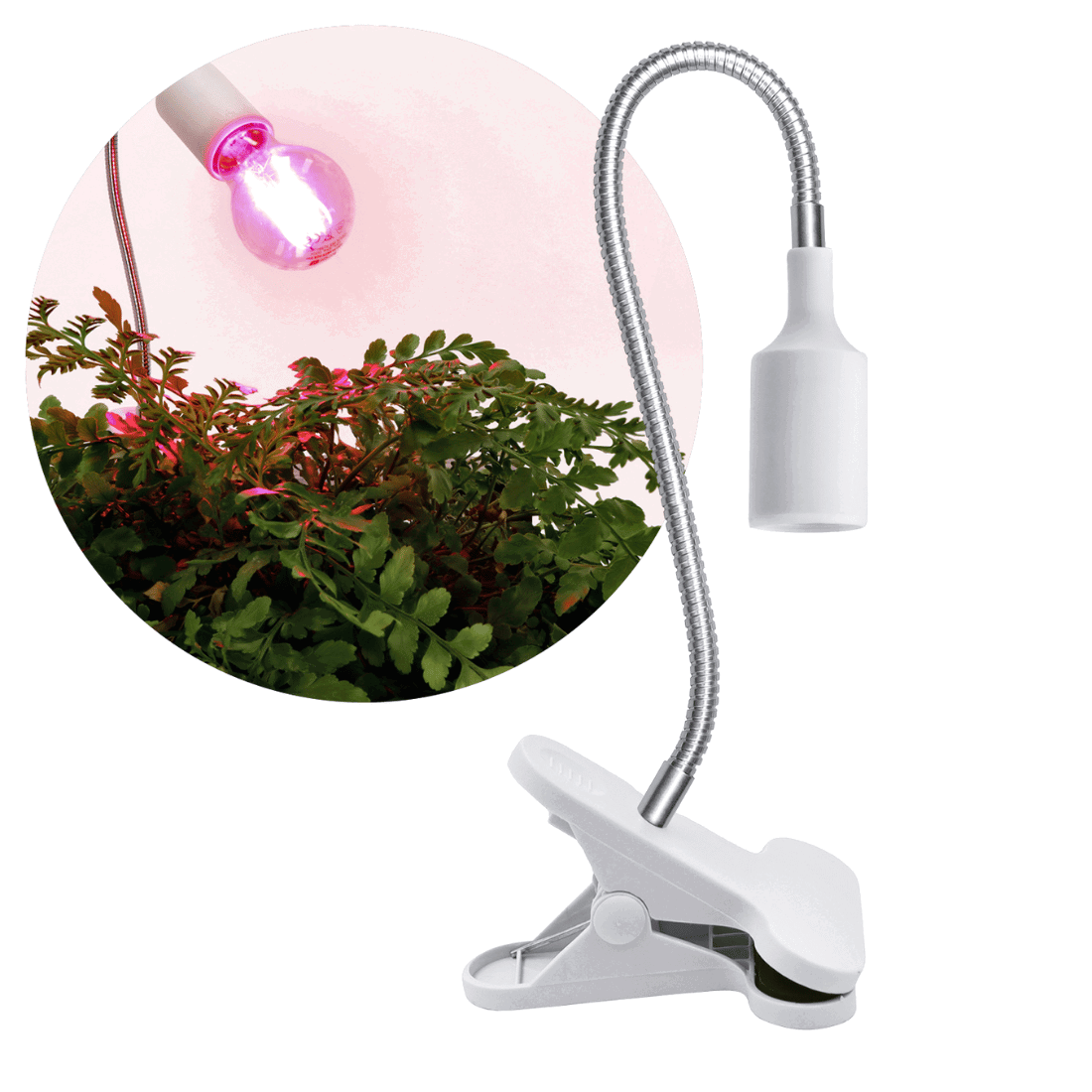 Skrivbordslampe - Hvid - Med klemme - 230V - E27 - 25W - Grolys