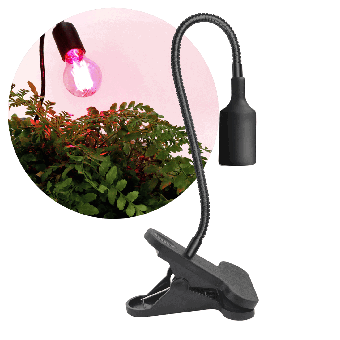 Skrivbordslampe - Sort - Med klemme - 230V - E27 - 25W - Grolys